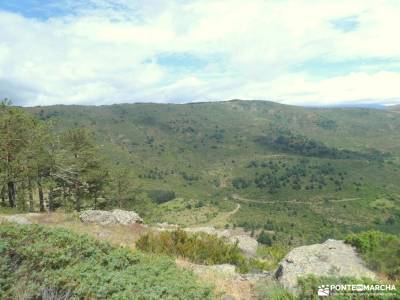 Mojonavalle - Sestil de Maillo: Bosques de Canencia;el tiemblo castañar parque natural de redes astu